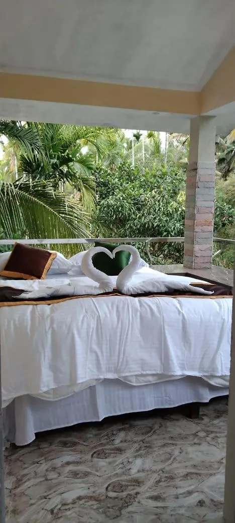 Meenangadi Dream Inn Family Homestay